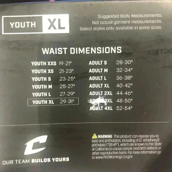 Champro Triple Crown Knicker Premium Baseball Pants,soil release, grip waist - Picture 3 of 10